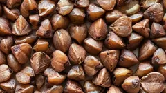 Odborník na výživu označil nejvíce podceňovanou superpotravinu: je levnější než chia a působí lépe