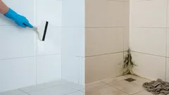 Plíseň v koupelně: 7 chyb při úklidu, kvůli kterým se stále vrací